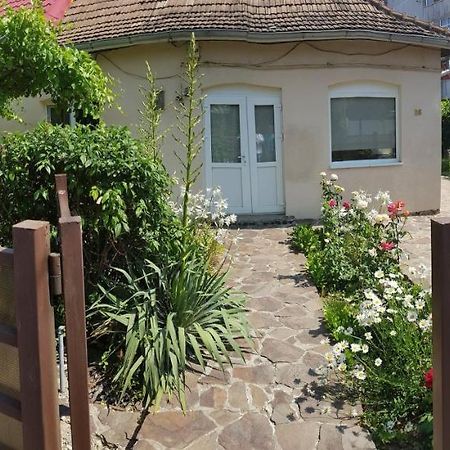 Casa Didina Fosta Pensiune Casa Didina Bacău Buitenkant foto