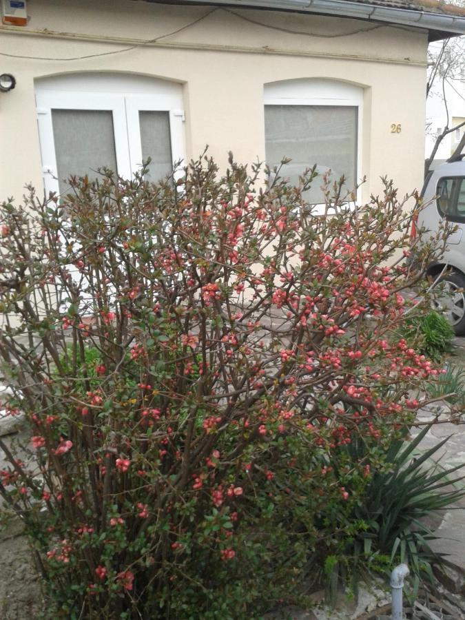 Casa Didina Fosta Pensiune Casa Didina Bacău Buitenkant foto