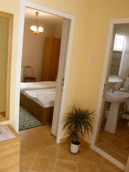 Casa Didina Fosta Pensiune Casa Didina Bacău Buitenkant foto